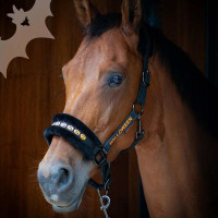 Harrys Horse Halloween grime sæt