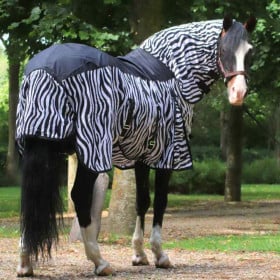 4horses Zebra Rainy II haleflap