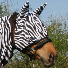 4horses Zebra fluemaske