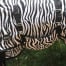 4horses Zebra Rainy II maveklap