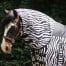 4horses Zebra Rainy II hals